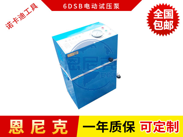 6DSB電動(dòng)試壓泵